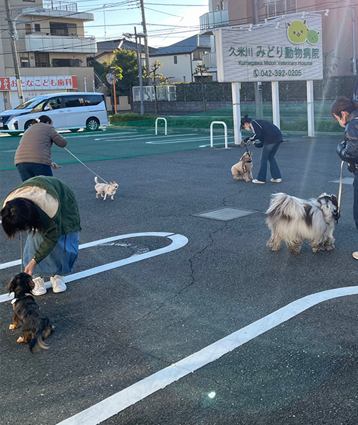 駐車場でのトレーニング風景2