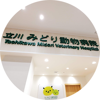 立川みどり動物病院